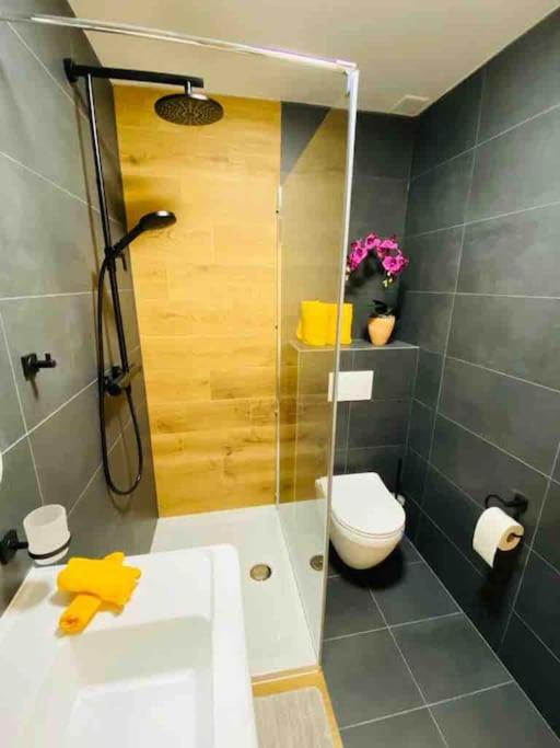 CLABINA - Studio lumineux et calme - Apartamento de 1 dormitorio - 11