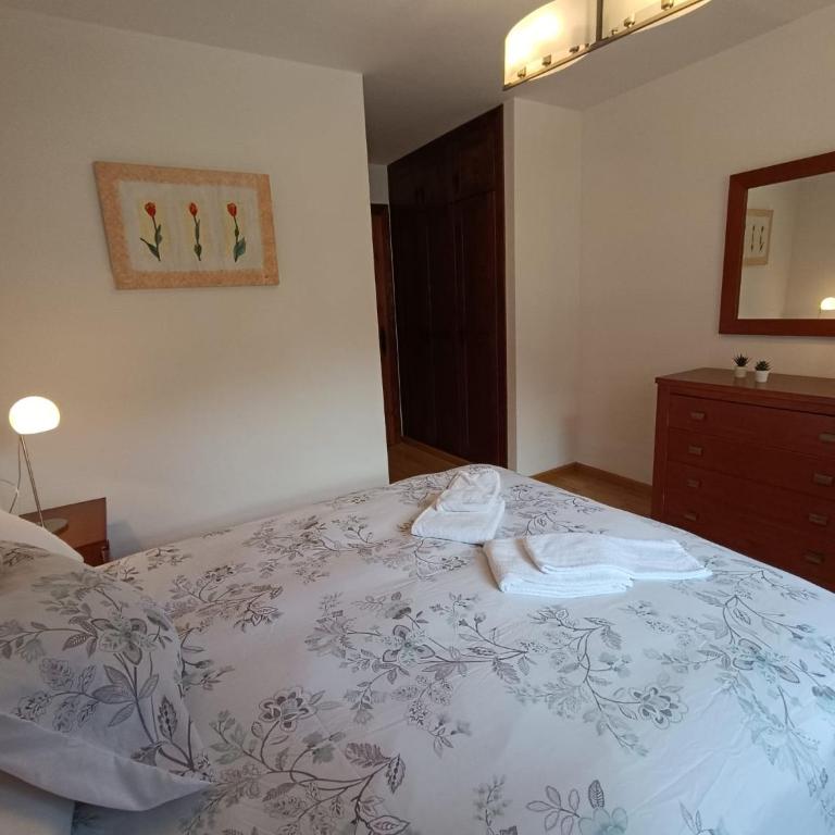 InmoCyma Verdiblanco Familias-Valle de Benasque - Apartamento de 3 dormitorios - 13