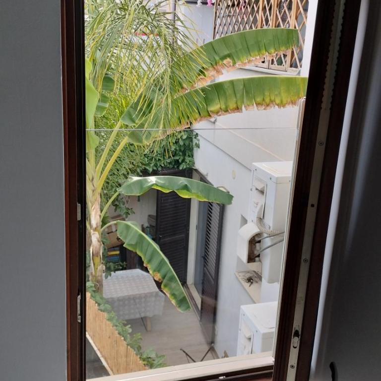 La casa di Giò Giò - Appartamento con 1 Camera da Letto - 10