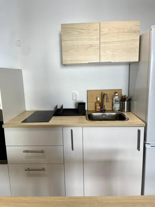 Superbe appartement 2P climatisé - Plages à pieds - Apartment mit 1 Schlafzimmer - 31