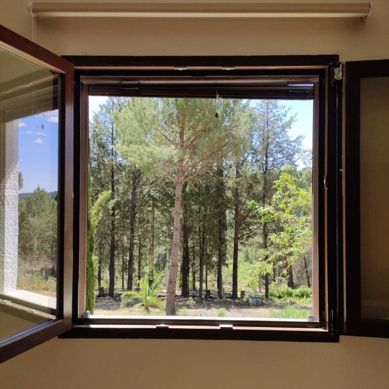 Bonita casa blanca en el bosque. - Two-Bedroom House - 25