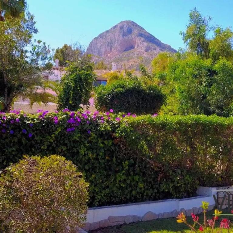 Magnifique villa tout confort à Javea - Villa - 24