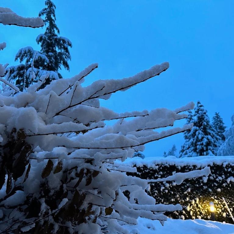 Chalet 8 Etoiles - Chalet Superior - 50