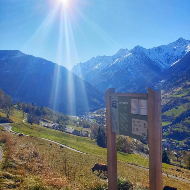 Gite du pèlerin-Chalet de montagne jusqu'à 10 personnes - Haus mit 1 Schlafzimmer - 9