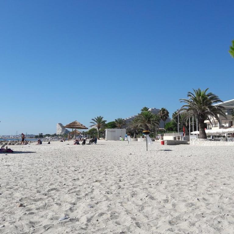Superbe T2 - 200m de la mer - Piscine - Parking - Apartment mit 1 Schlafzimmer - 16