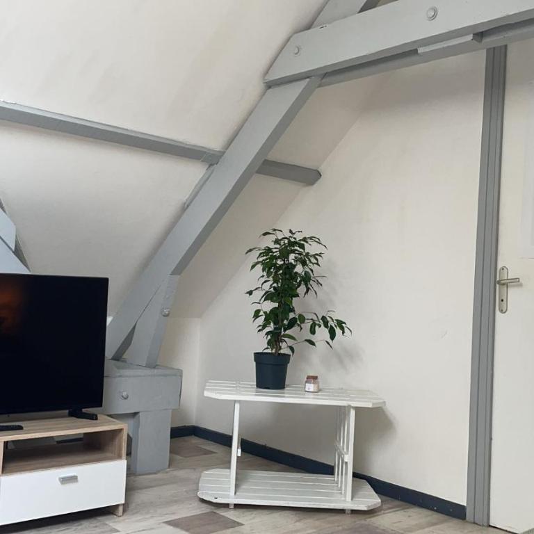 CENTRAL 55m2 - 4 PERSONNES - COSY - PROCHE NAUSICAA - One-Bedroom Apartment - 19