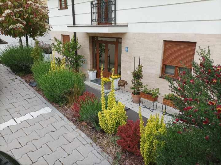 Apartman 8 Extra Vrnjacka Banja - Apartman sa 1 Spavaćom Sobom - 21