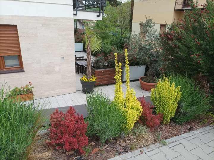 Apartman 8 Extra Vrnjacka Banja - Apartman sa 1 Spavaćom Sobom - 22