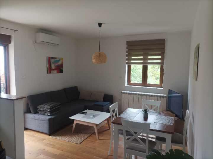 Apartman 8 Extra Vrnjacka Banja - Apartman sa 1 Spavaćom Sobom - 23