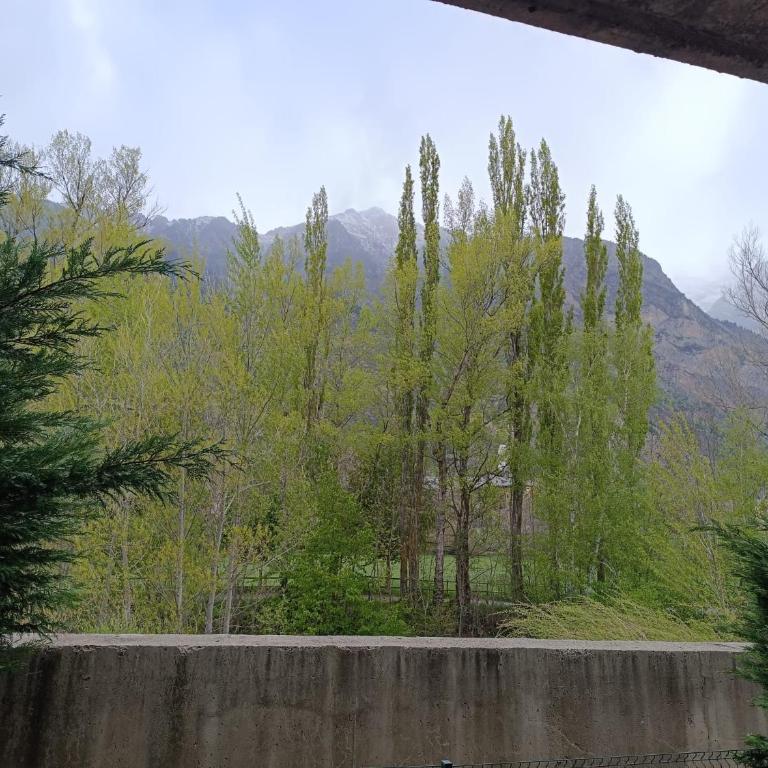InmoCyma Montañas mágicas-Benasque - Apartamento de 1 dormitorio - 28