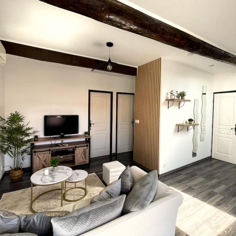 Charme urbain sous les toits-Terrasse/Clim/Parking - Appartement 2 Chambres - 4