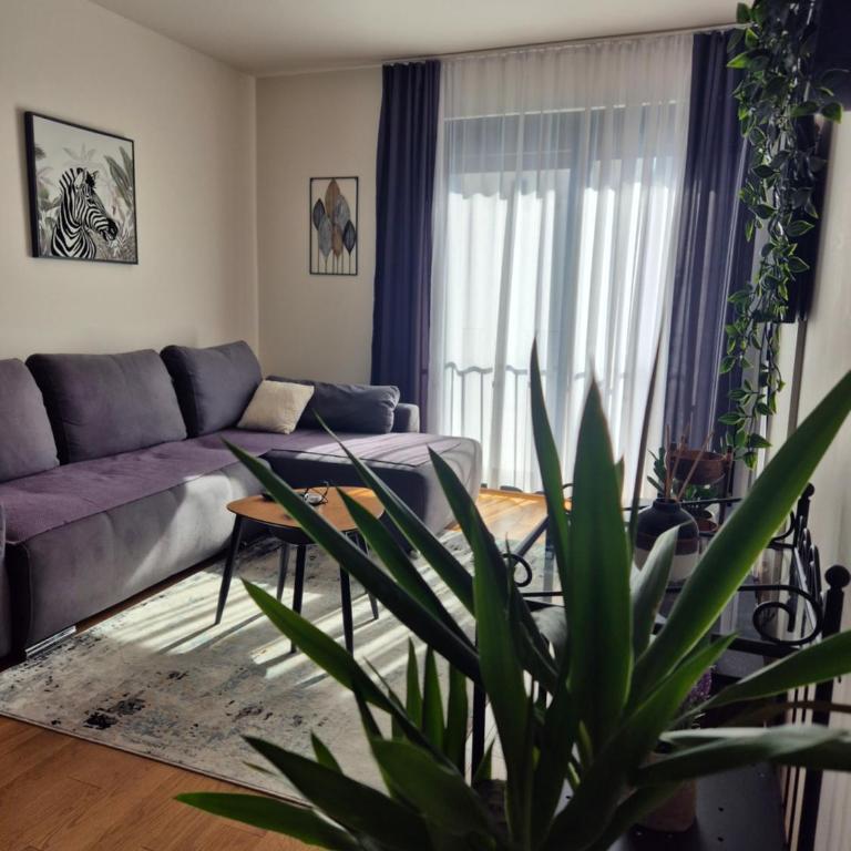 LoVE, modern apartment with pool & sea view - One-Bedroom Apartment - 3