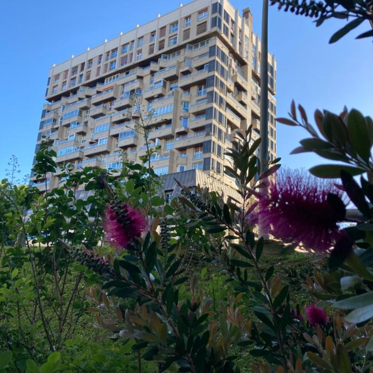 Amara Tower 14 - Apartamento - 28