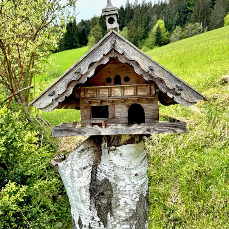 5* Panorama Chalet mit Sauna by Belle Stay - Casa con 5 Camere da Letto - 74