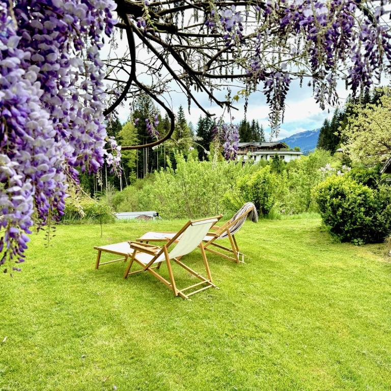 5* Panorama Chalet mit Sauna by Belle Stay - Casa con 5 Camere da Letto - 14