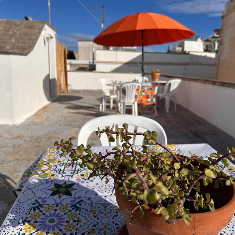 Residenza Del Conte - Standard Apartment - 25