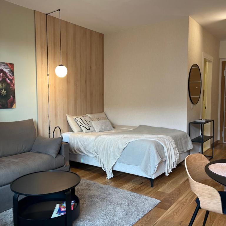 IVA HOME Apartment - Studio s King-sajz Krevetom i Sofom na Izvlačenje - 4