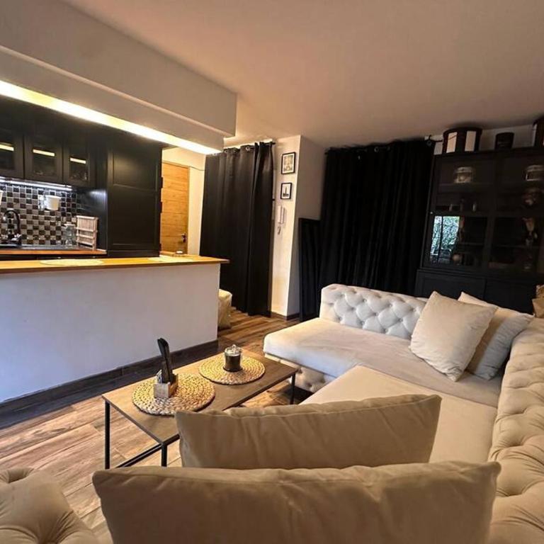 Jardin des plantes parking securise terrasse et ascenseur - Apartment mit 1 Schlafzimmer - 2