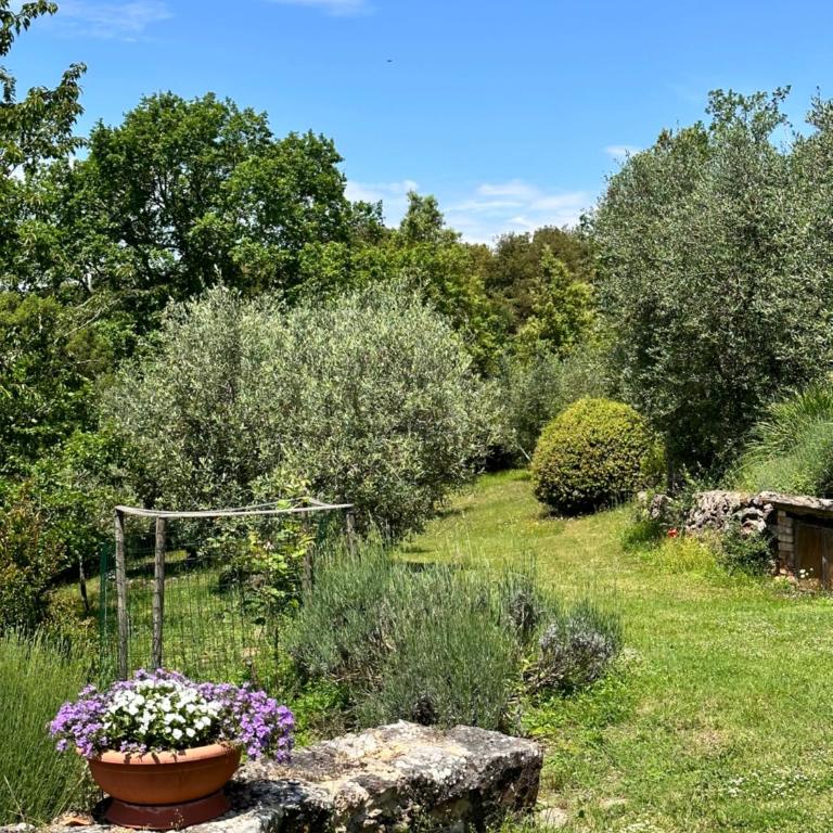 Borgo dei Fondi - Casa con 2 Camere da Letto - 1° Piano - 23