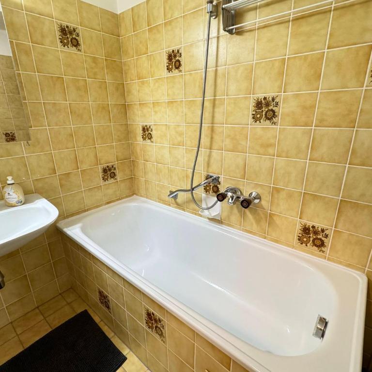Ferienwohnung an der Traun - Appartement 1 Chambre - 20