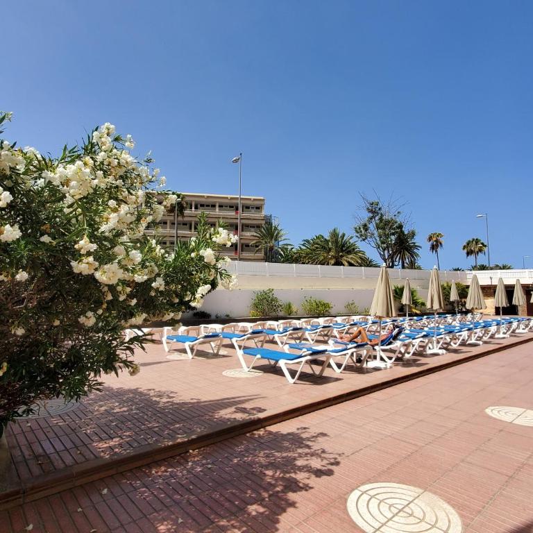 Las Camelias Apartments - Apartamento con balcón - 62