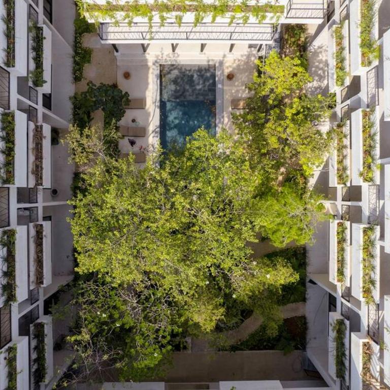 Amazing and central new condo 2 bedroom La Veleta - Apartamento de 2 dormitorios - 33