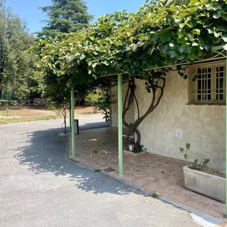 La Provence : Piscine, Tennis, Cinéma & Plus - Villa - 35