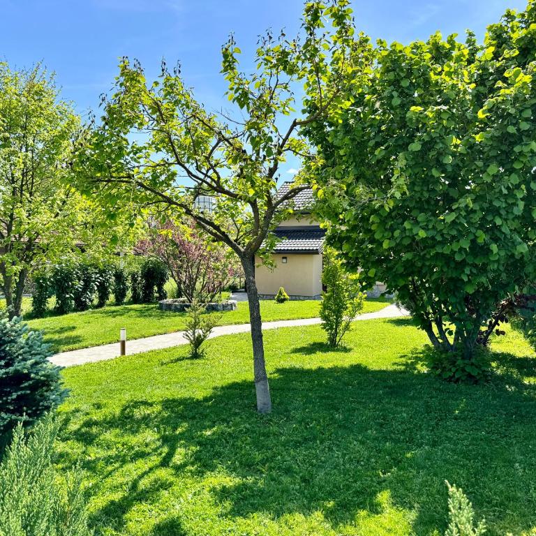 Sunrise Guest House - Kuća sa 1 Spavaćom Sobom - 25