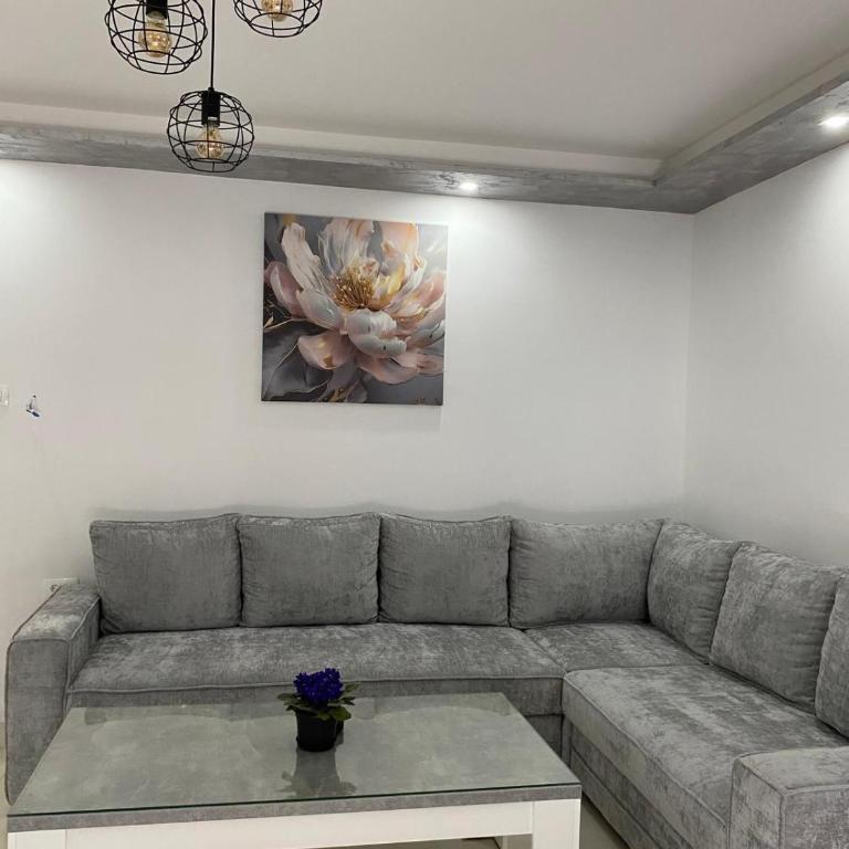 Apartman Pranić Mostar - Two-Bedroom Apartment with Terrace - 19