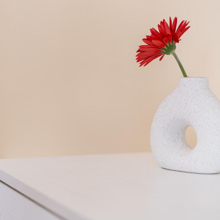 Domus Leo Roma - Appartamento con 2 Camere da Letto - 38