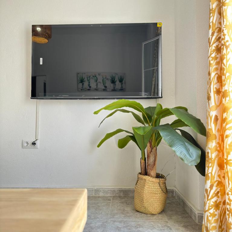 Cabildo 3 - Apartamento de 1 dormitorio - 5