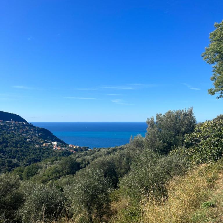Olivetta House Holiday - Appartamento con 1 Camera da Letto - 3