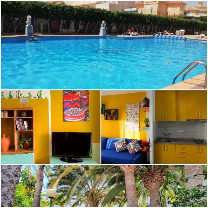 Surycan El Dorado 5th floor Apartment - One-Bedroom Apartment - 39