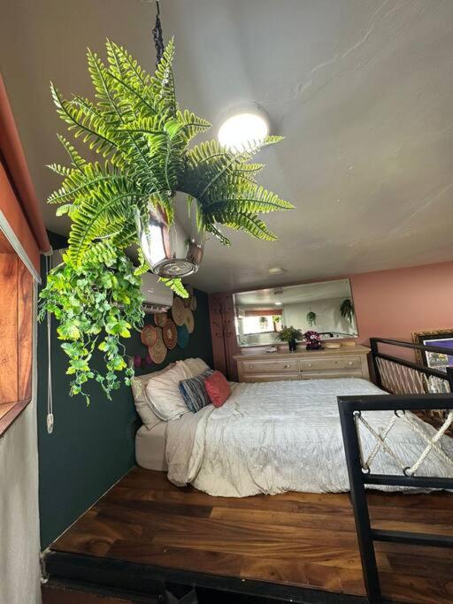 “Encantador Loft” - en el corazón de San Pedro - One-Bedroom Apartment - 12