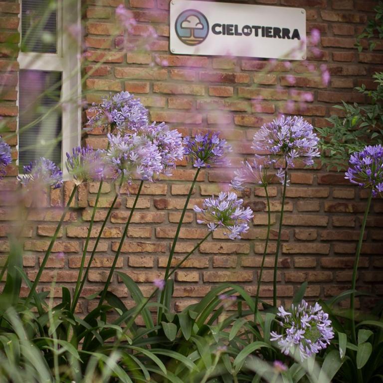 Cielo de Tierra - Casa con 1 dormitorio - 5