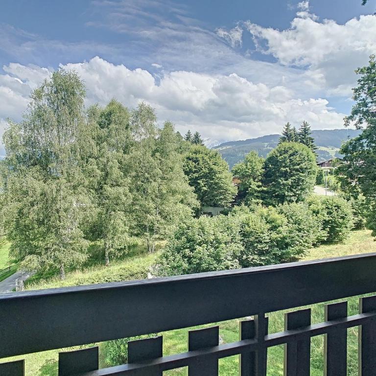 Duplex cosy 35m² près du centre de Combloux, face au Mont Blanc - Appartement 1 Chambre - 13