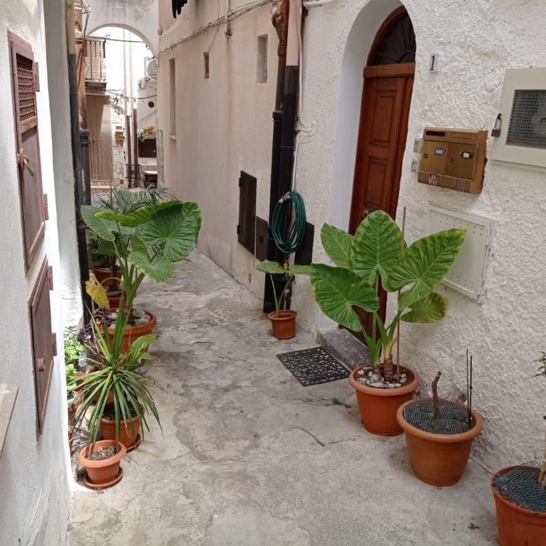 Cortile Maggiore Home - Casa con 2 Camere da Letto - 2