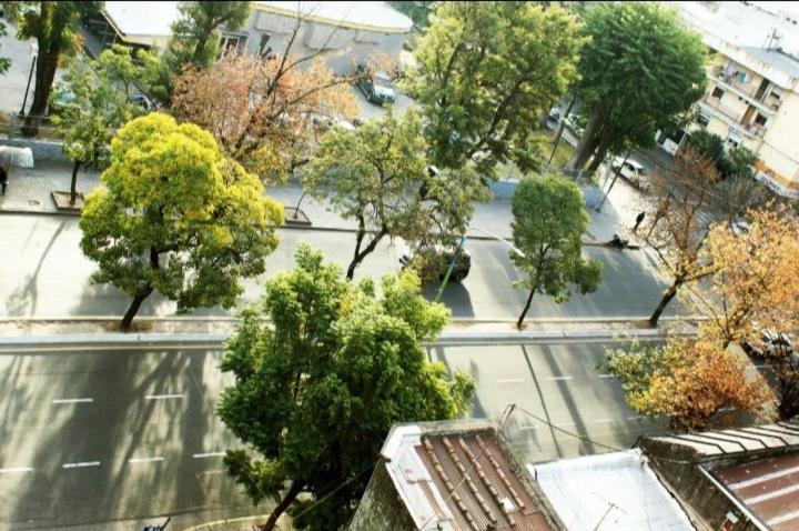 DEPTO Av NICOLAS AVELLANEDA - Apartamento de 1 dormitorio - 5