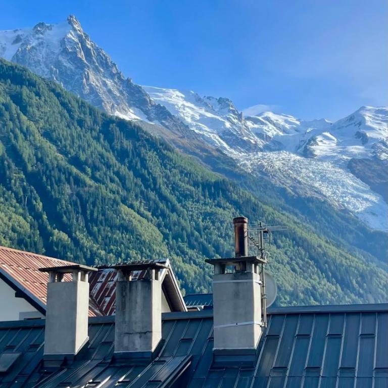 Chalet Atmosphere Chamonix City Center Large T3 - Apartamento de 2 dormitorios - 43