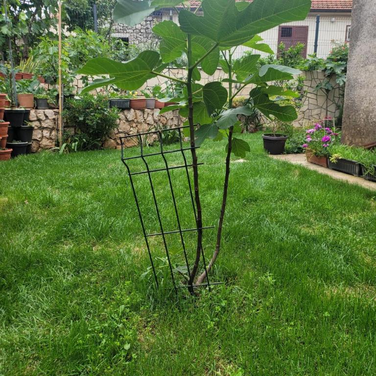 Apartman Sonja Trebinje - Apartman sa 2 Spavaće Sobe - 31