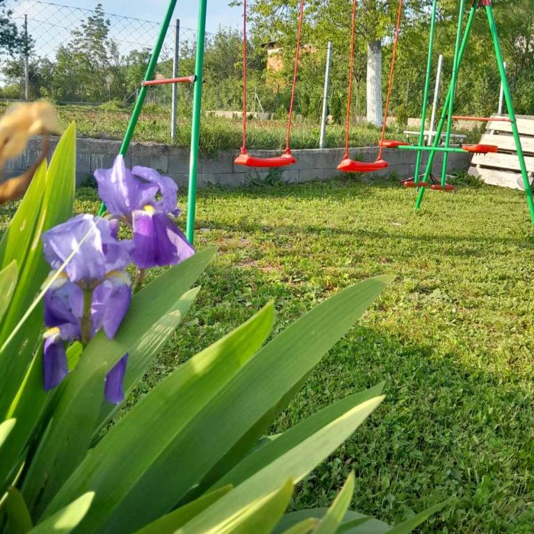 Holiday House White Hill - Villa with Private Pool - 42