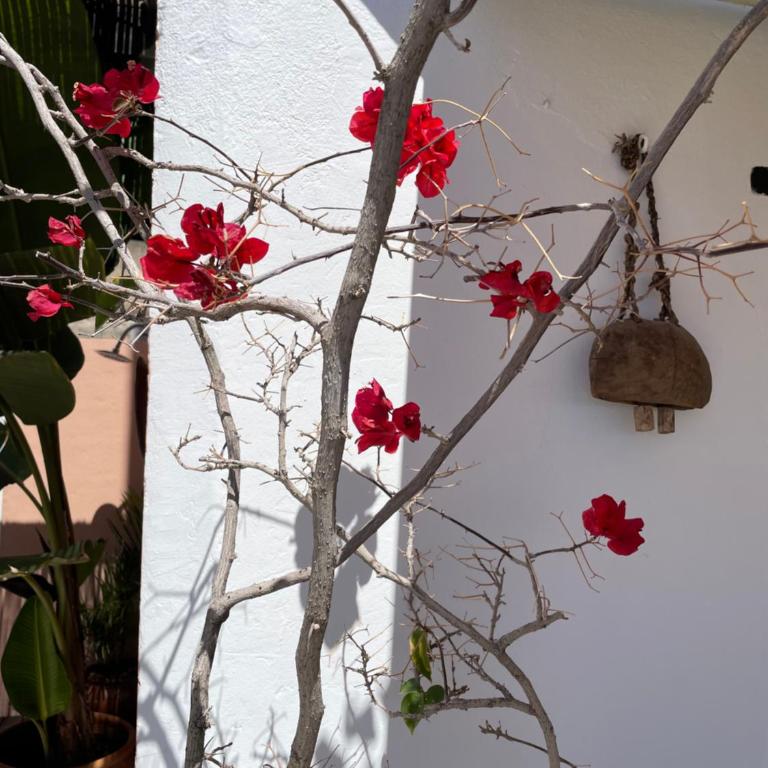 Mar de fondo en Pedregalejo - Two-Bedroom Apartment with Terrace and Sea View - 29