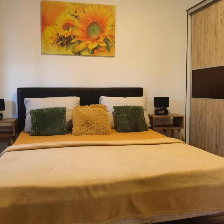 Apartmani Radivojević 2 - One-Bedroom Apartment - 6