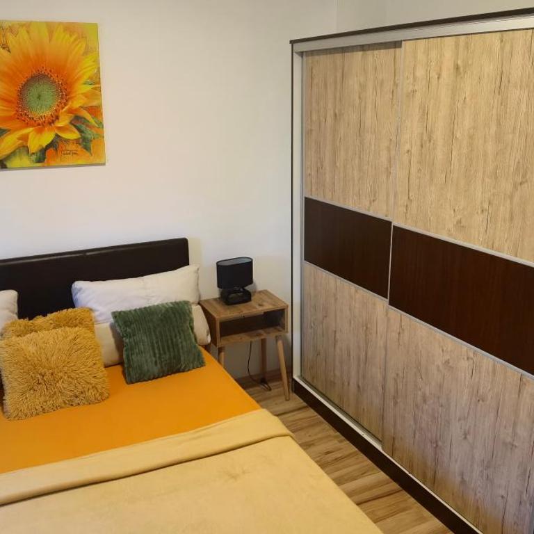 Apartmani Radivojević 2 - One-Bedroom Apartment - 5