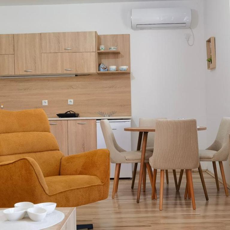 Apartmani Radivojević 2 - One-Bedroom Apartment - 1