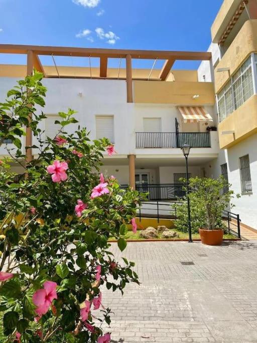 La Bodega del Mar - Luminoso y céntrico apto con piscina en verano y parking - Apartamento Superior con 3 dormitorios - 21
