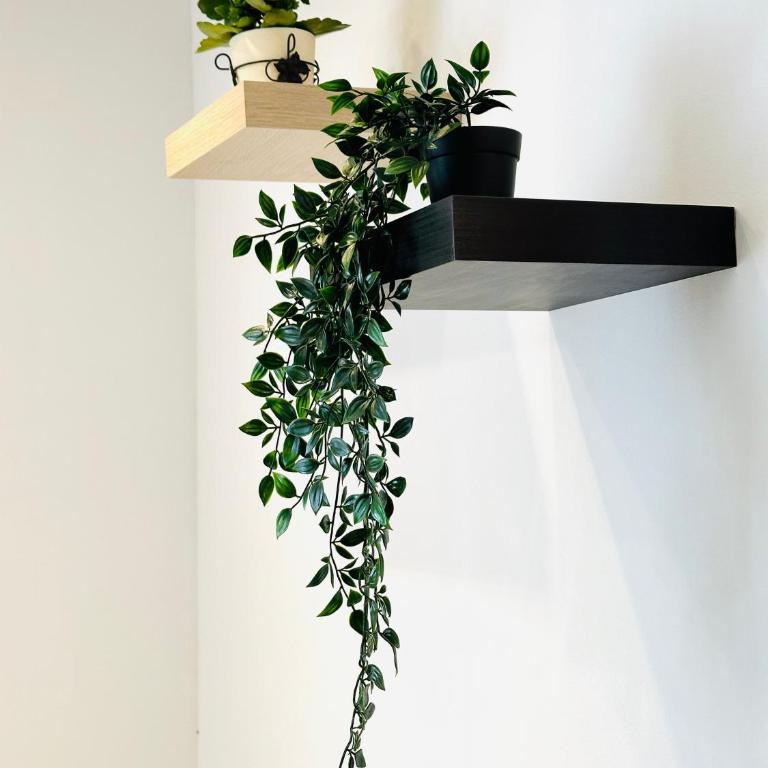 Urban Escape - Apartman sa 1 Spavaćom Sobom - 9