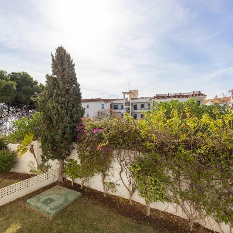 Las Palmeras 6 Apartamento Vacacional - Apartamento de 2 dormitorios - 21