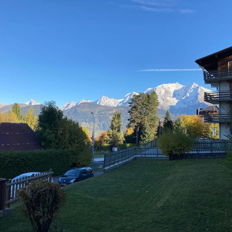 La marmotte: Vue Mont Blanc, terrasse, parking - Appartement 2 Chambres avec Vue sur la Montagne - 17