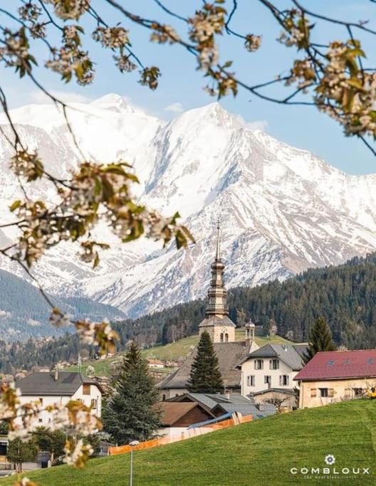 La marmotte: Vue Mont Blanc, terrasse, parking - Appartement 2 Chambres avec Vue sur la Montagne - 37
